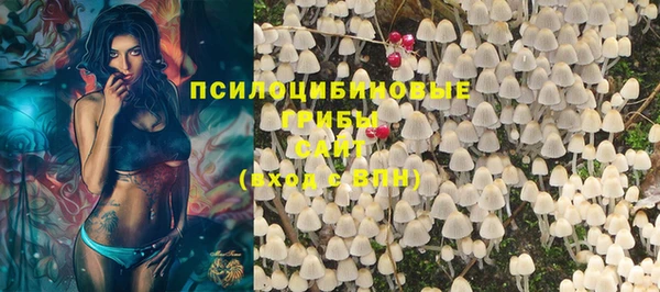 ALPHA PVP Надым